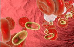 镇江助孕中介高端群-尿液中红细胞含量高严重吗，尿液中红细胞含量高如何治