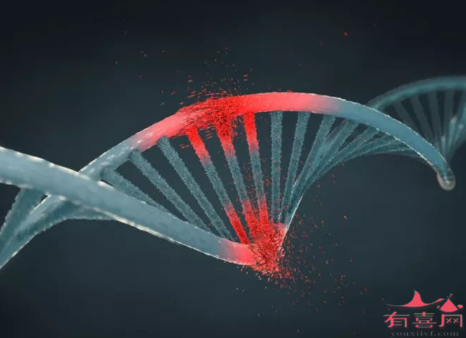 威海助孕机构网站：基因突变可以传给下一代吗？